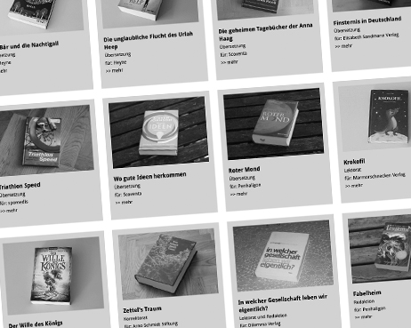 Schwarzweiß-Ansicht der Website von Michael Pfingstl, einzelne Kästen mit Bild und Kurzbeschreibung